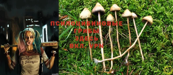 PSILOCYBIN Балахна