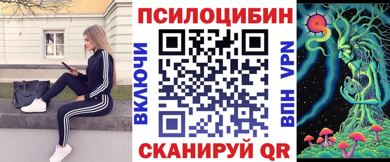 продажа наркотиков  Заинск  Псилоцибиновые грибы Psilocybe 